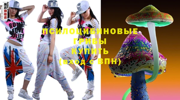бошки Каменка
