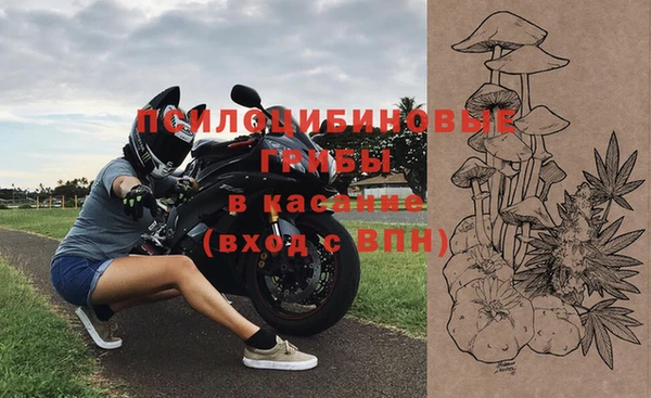 ешки Каменск-Шахтинский