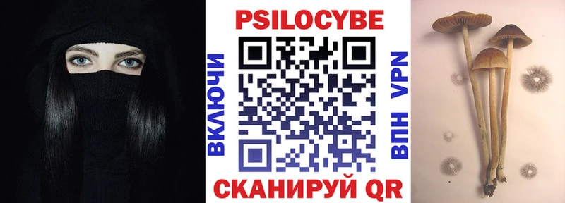 Купить закладки  Калач  Псилоцибиновые грибы мицелий 